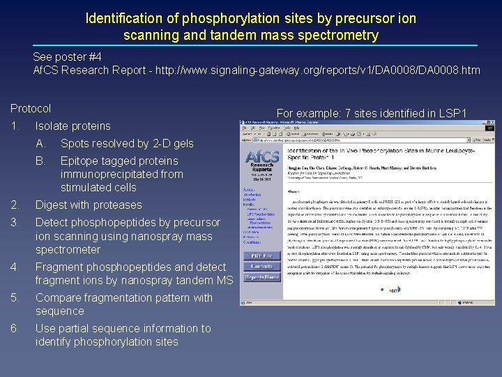 Identification of phosphorylation sites by precursor ion scanning and tandem mass spectrometry See poster