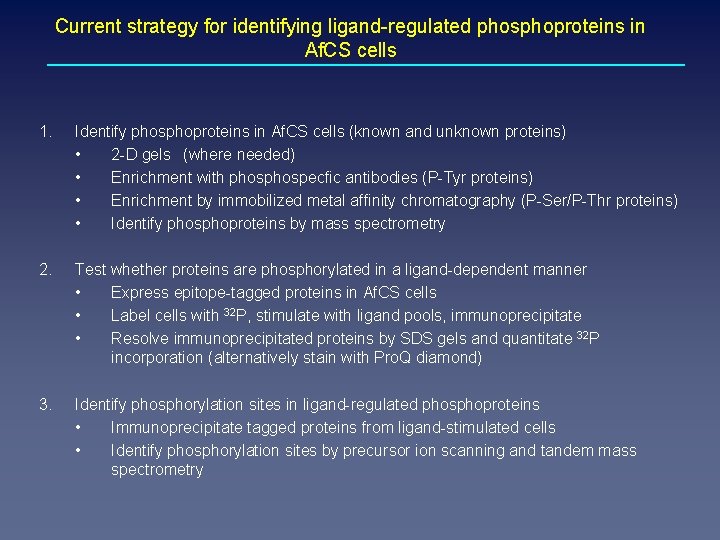 Current strategy for identifying ligand-regulated phosphoproteins in Af. CS cells 1. Identify phosphoproteins in