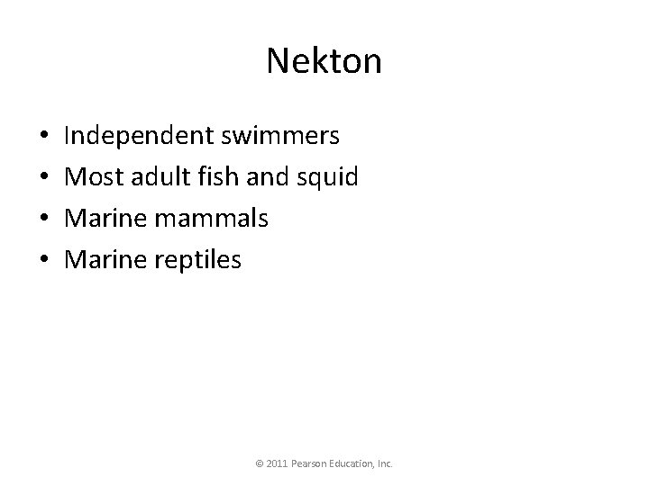 Nekton • • Independent swimmers Most adult fish and squid Marine mammals Marine reptiles