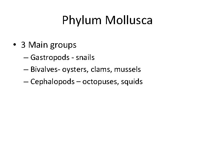 Phylum Mollusca • 3 Main groups – Gastropods - snails – Bivalves- oysters, clams,