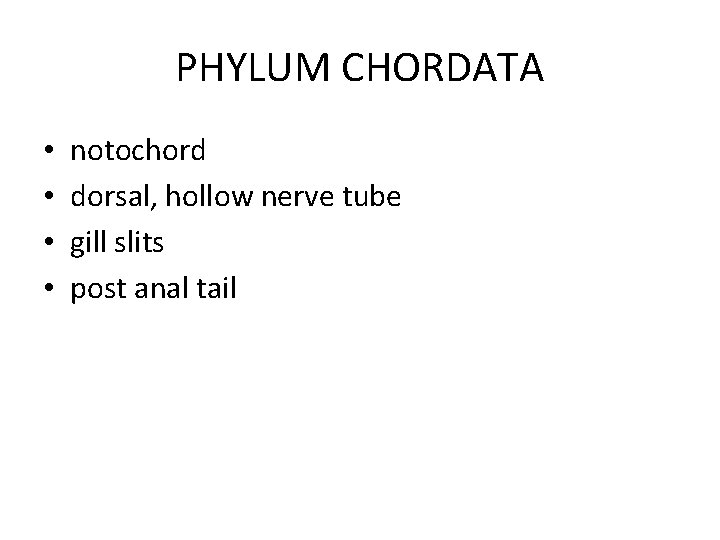 PHYLUM CHORDATA • • notochord dorsal, hollow nerve tube gill slits post anal tail