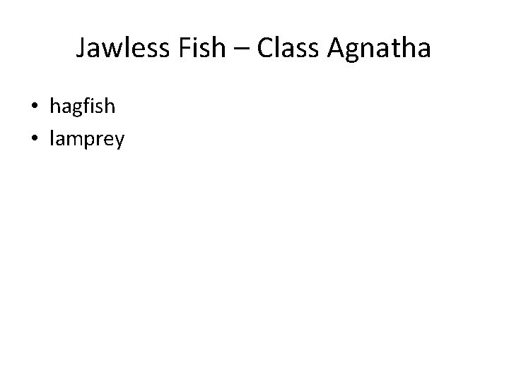 Jawless Fish – Class Agnatha • hagfish • lamprey 