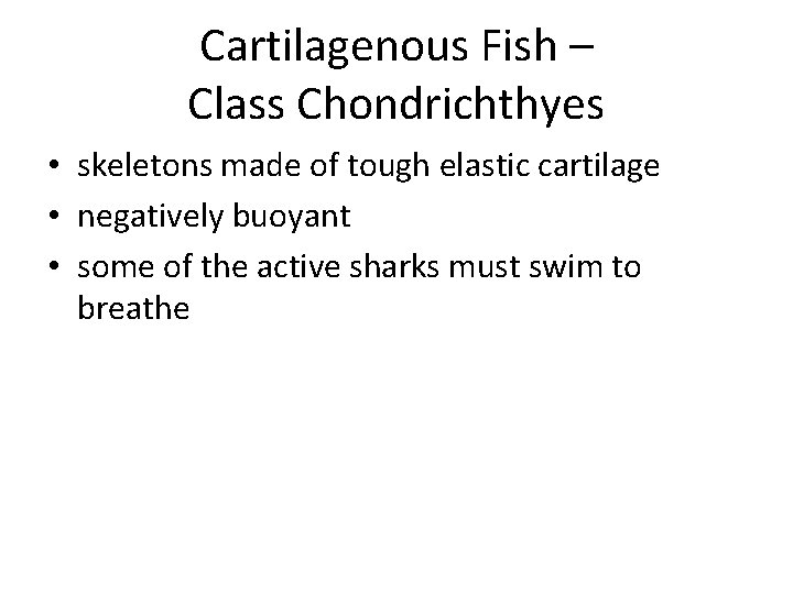 Cartilagenous Fish – Class Chondrichthyes • skeletons made of tough elastic cartilage • negatively
