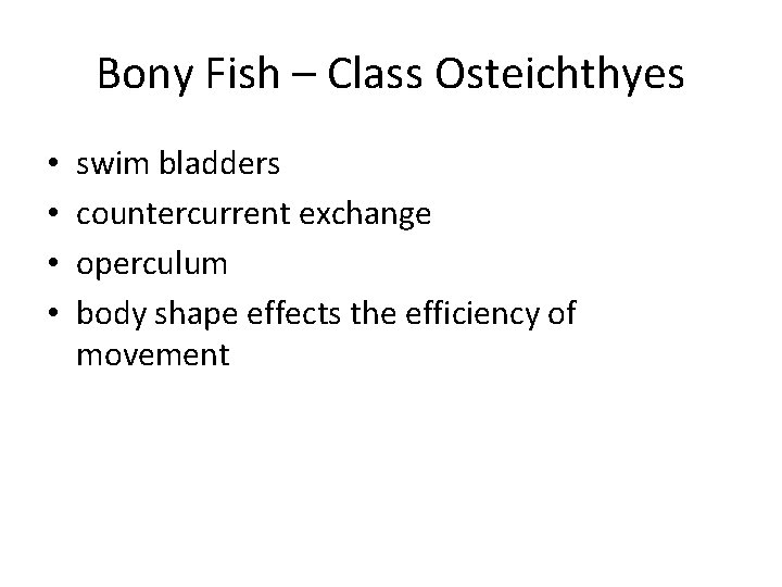 Bony Fish – Class Osteichthyes • • swim bladders countercurrent exchange operculum body shape