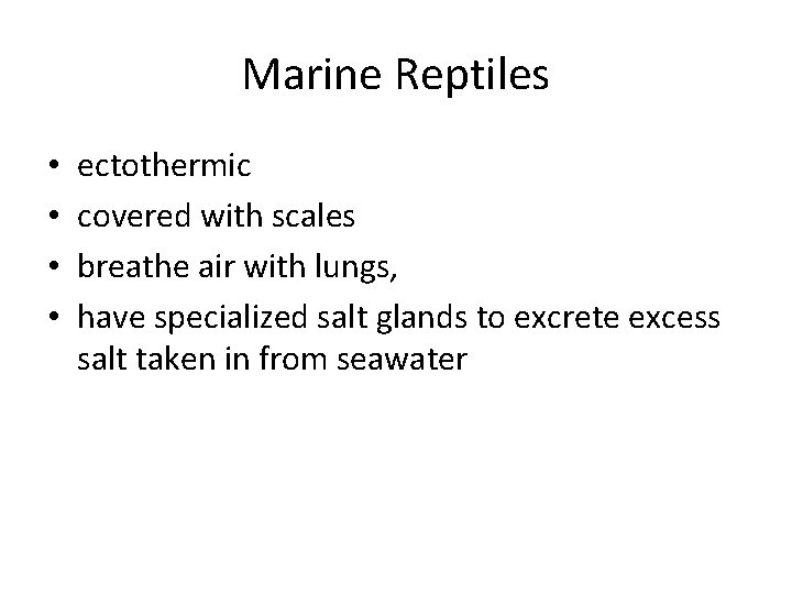Marine Reptiles • • ectothermic covered with scales breathe air with lungs, have specialized