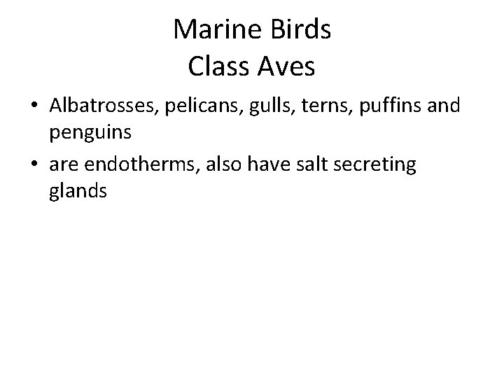 Marine Birds Class Aves • Albatrosses, pelicans, gulls, terns, puffins and penguins • are