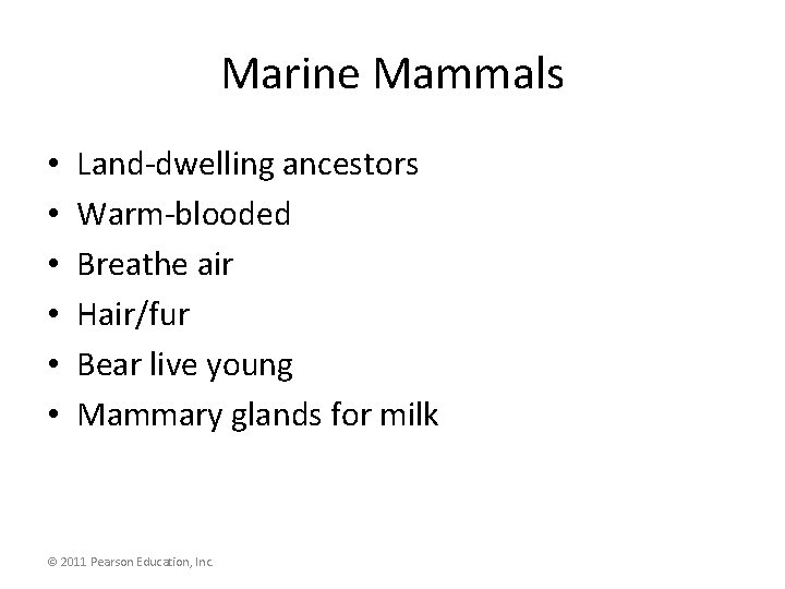 Marine Mammals • • • Land-dwelling ancestors Warm-blooded Breathe air Hair/fur Bear live young