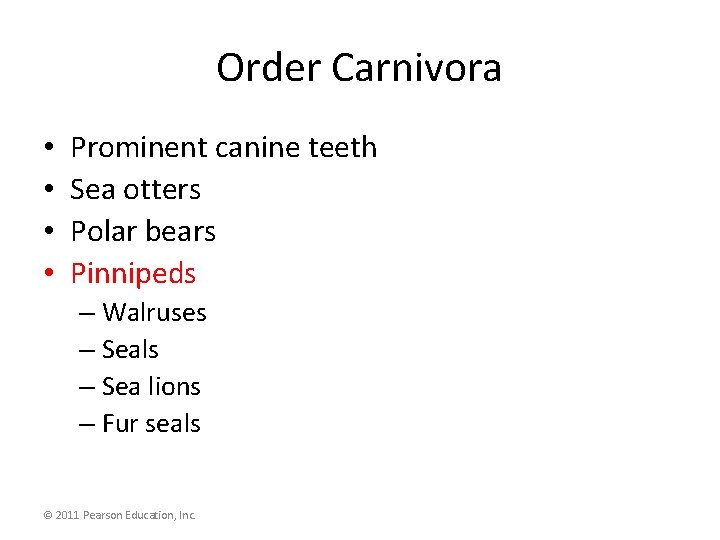 Order Carnivora • • Prominent canine teeth Sea otters Polar bears Pinnipeds – Walruses