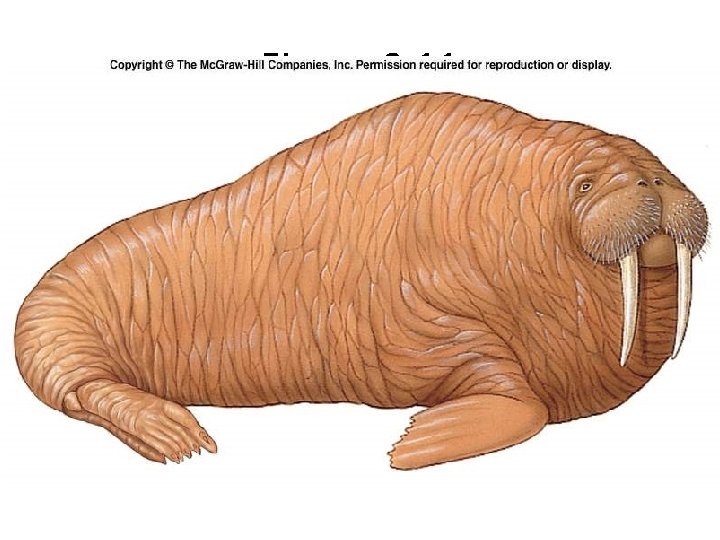 Figure 9. 11 