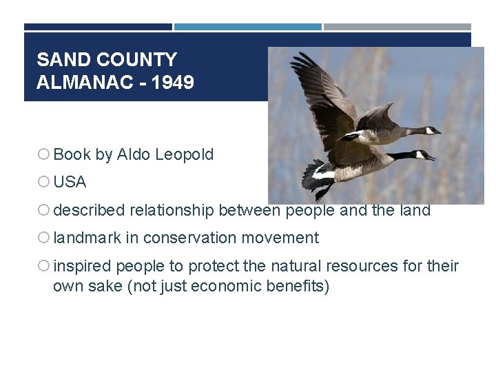 SAND COUNTY ALMANAC - 1949 Book by Aldo Leopold USA described relationship between people