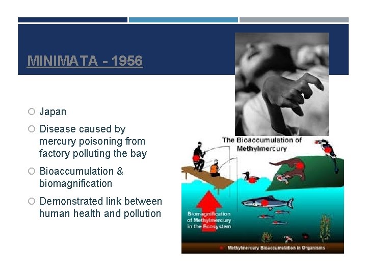 MINIMATA - 1956 Japan Disease caused by mercury poisoning from factory polluting the bay