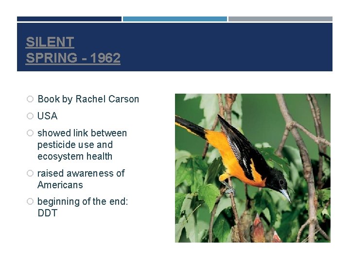 SILENT SPRING - 1962 Book by Rachel Carson USA showed link between pesticide use