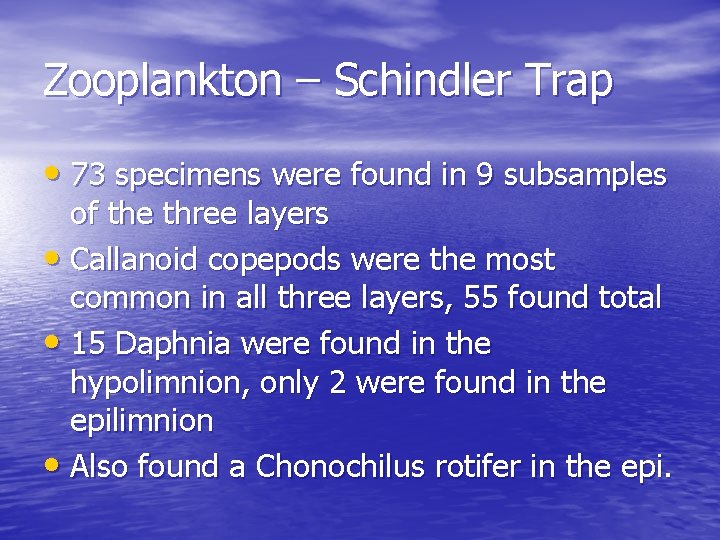 Zooplankton – Schindler Trap • 73 specimens were found in 9 subsamples of the