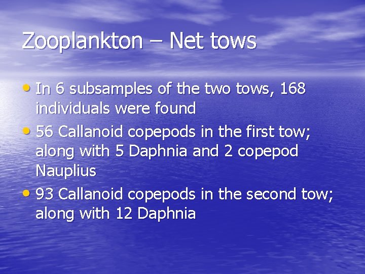 Zooplankton – Net tows • In 6 subsamples of the two tows, 168 individuals
