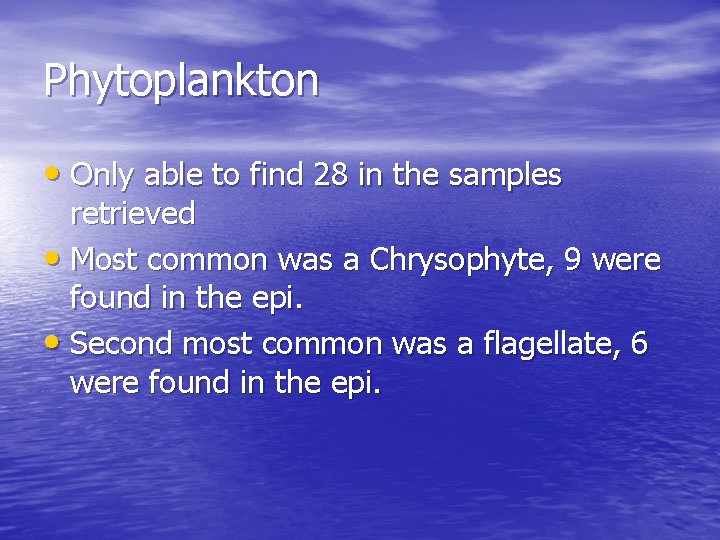 Phytoplankton • Only able to find 28 in the samples retrieved • Most common