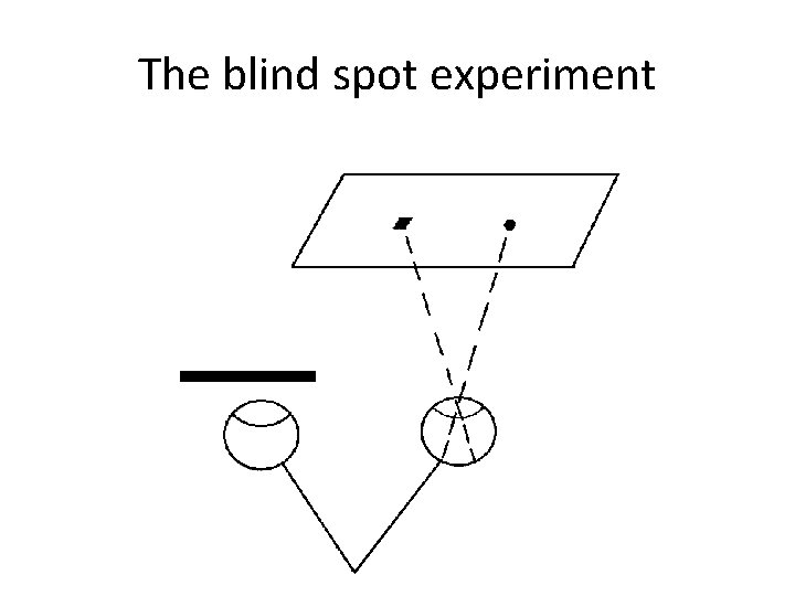 The blind spot experiment 