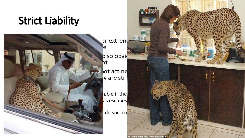 Strict Liability • People who are responsible for extremely dangerous things or activities are
