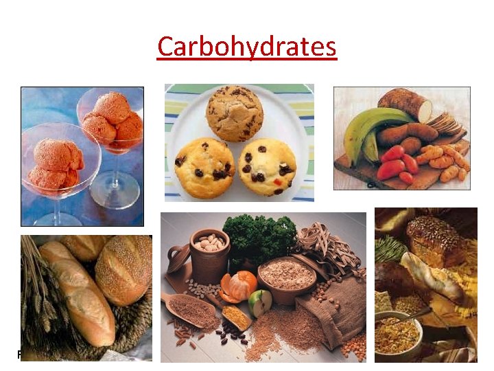 Carbohydrates Regents Biology 