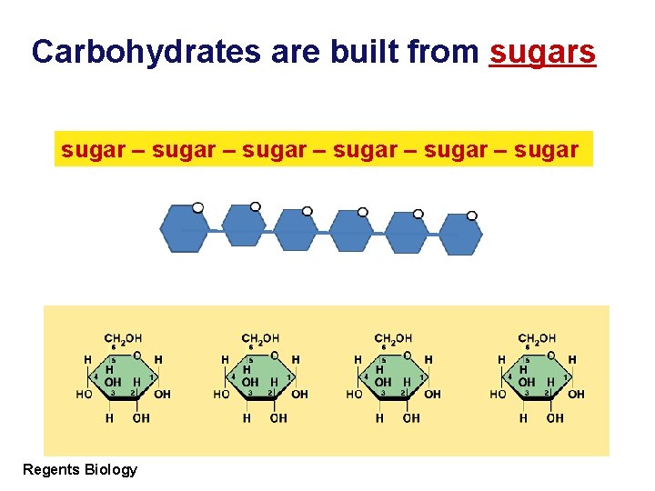 Carbohydrates are built from sugars sugar – sugar – sugar Regents Biology 