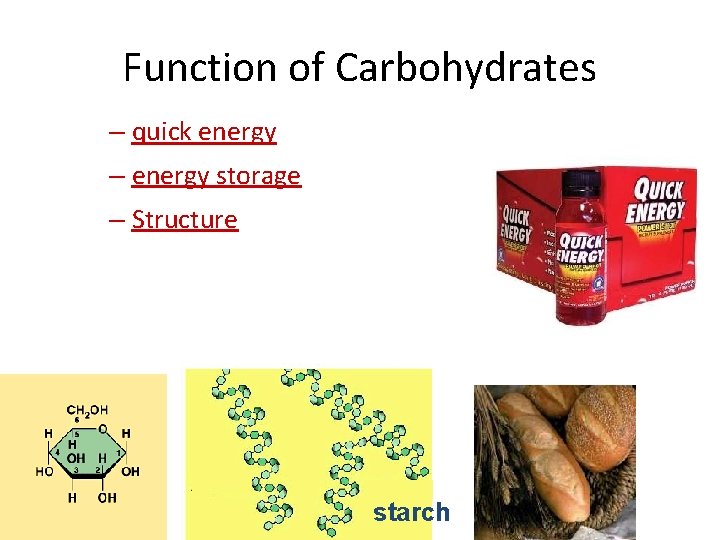 Function of Carbohydrates – quick energy – energy storage – Structure Regents Biology starch