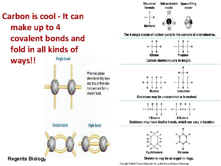 Carbon is cool - It can make up to 4 covalent bonds and fold