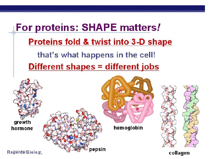 2003 -2004 Biology Regents 