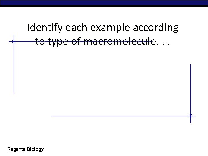 Identify each example according to type of macromolecule. . . Regents Biology 