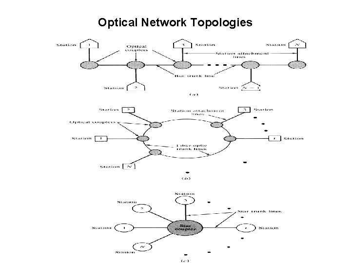 Optical Network Topologies 