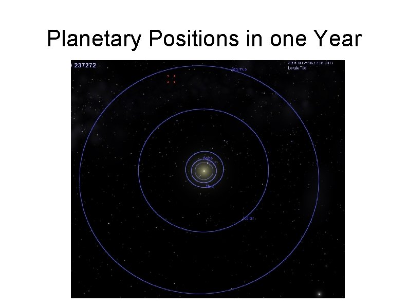 Planetary Positions in one Year 