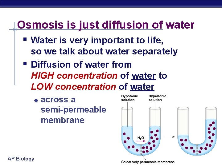 Osmosis is just diffusion of water § Water is very important to life, §