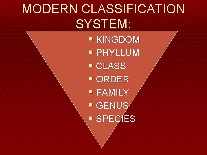 MODERN CLASSIFICATION SYSTEM: § KINGDOM § PHYLLUM § CLASS § ORDER § FAMILY §