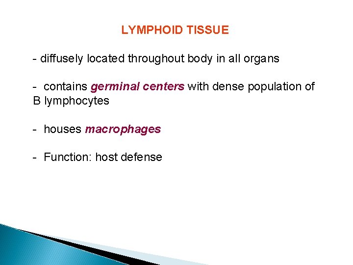 LYMPHOID TISSUE - diffusely located throughout body in all organs - contains germinal centers