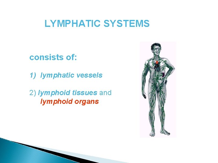 LYMPHATIC SYSTEMS consists of: 1) lymphatic vessels 2) lymphoid tissues and lymphoid organs 