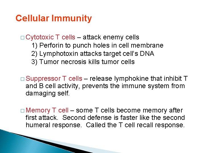 Cellular Immunity � Cytotoxic T cells – attack enemy cells 1) Perforin to punch