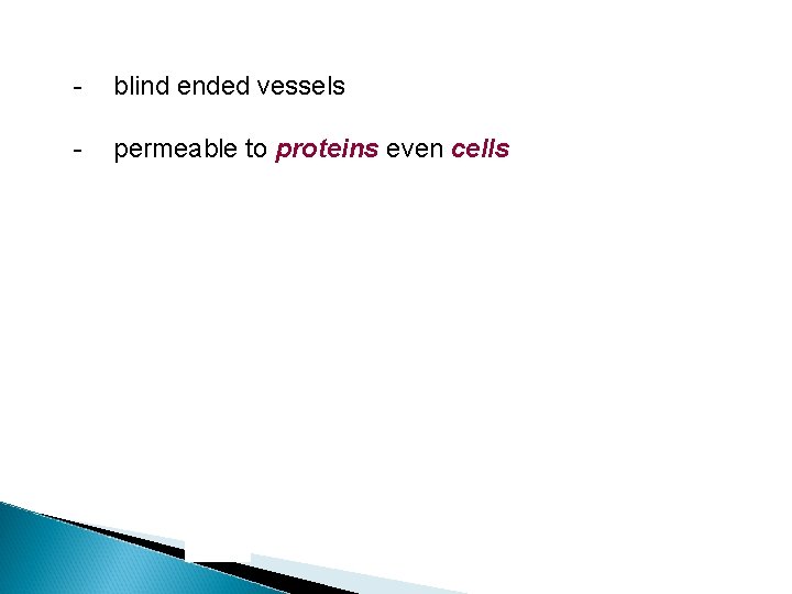  - blind ended vessels permeable to proteins even cells 