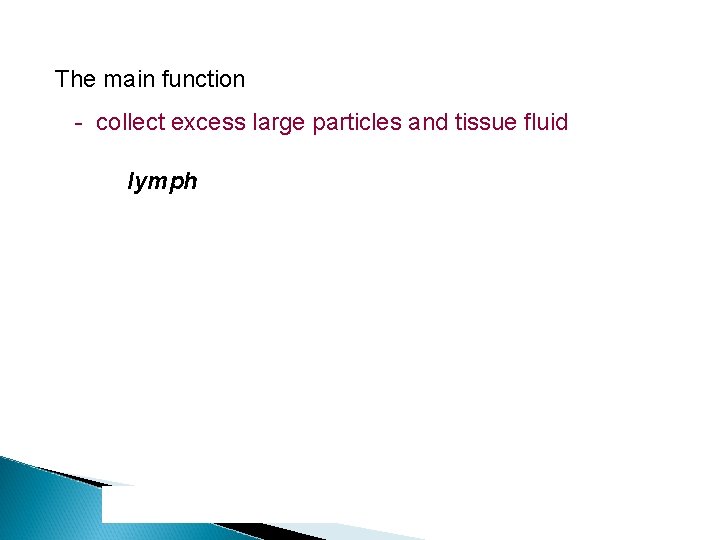 The main function - collect excess large particles and tissue fluid lymph 