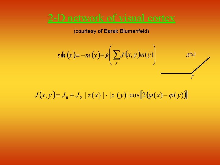 2 -D network of visual cortex (courtesy of Barak Blumenfeld) g(x) T 