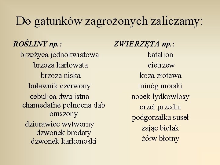 Do gatunków zagrożonych zaliczamy: ROŚLINY np. : brzeżyca jednokwiatowa brzoza karłowata brzoza niska buławnik