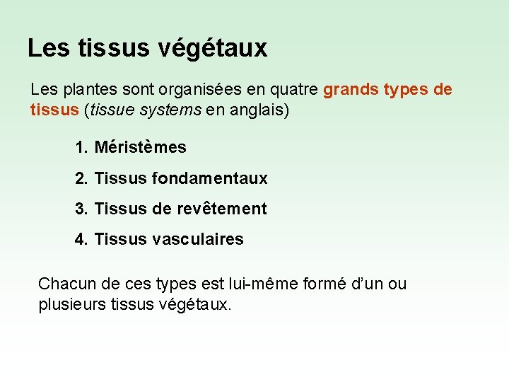 Les tissus végétaux Les plantes sont organisées en quatre grands types de tissus (tissue