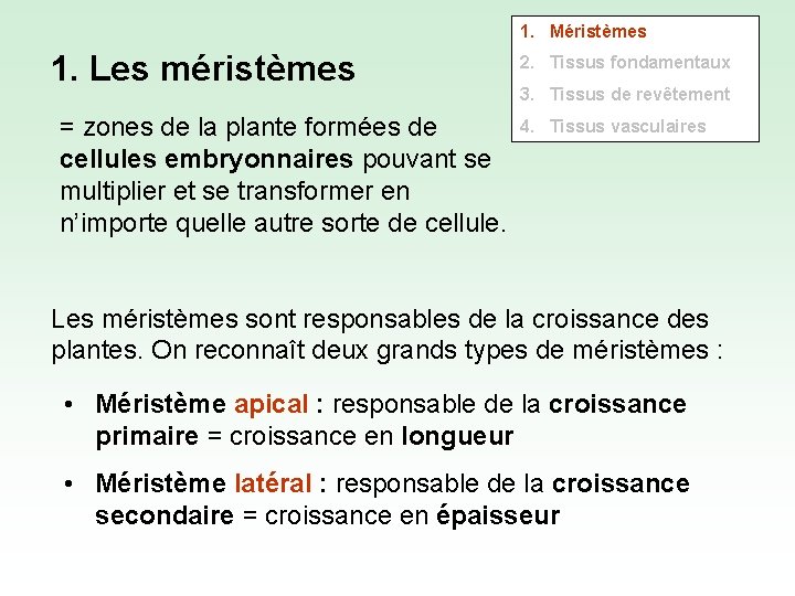 1. Méristèmes 1. Les méristèmes = zones de la plante formées de cellules embryonnaires