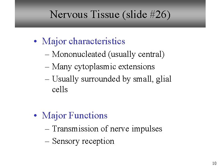 Nervous Tissue (slide #26) • Major characteristics – Mononucleated (usually central) – Many cytoplasmic