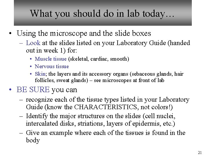 What you should do in lab today… • Using the microscope and the slide