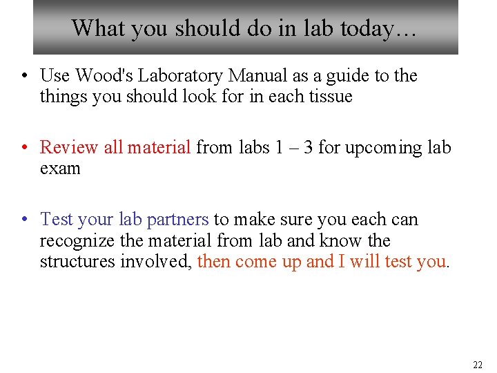 What you should do in lab today… • Use Wood's Laboratory Manual as a