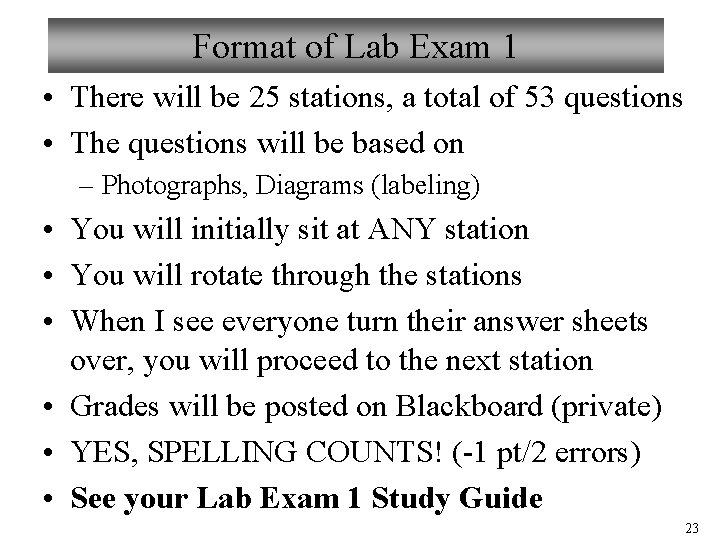 Format of Lab Exam 1 • There will be 25 stations, a total of