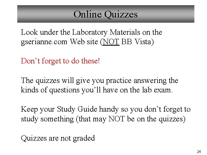 Online Quizzes Look under the Laboratory Materials on the gserianne. com Web site (NOT