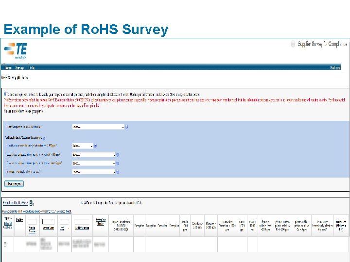 Example of Ro. HS Survey 
