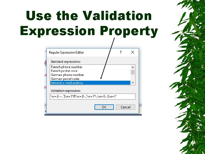 Use the Validation Expression Property 