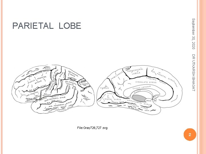September 30, 2020 PARIETAL LOBE DR UTKARSH BHAGAT File: Gray 726, 727. svg 2