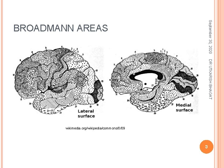 September 30, 2020 BROADMANN AREAS DR UTKARSH BHAGAT wikimedia. org/wikipedia/commons/0/09 3 