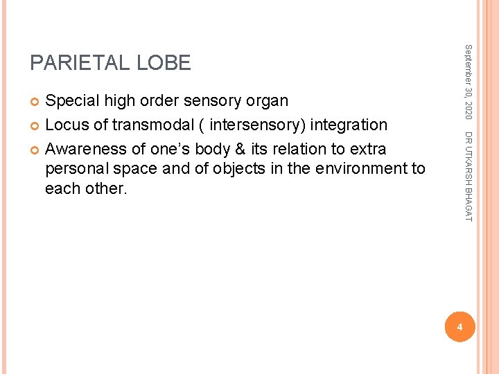 September 30, 2020 PARIETAL LOBE Special high order sensory organ Locus of transmodal (